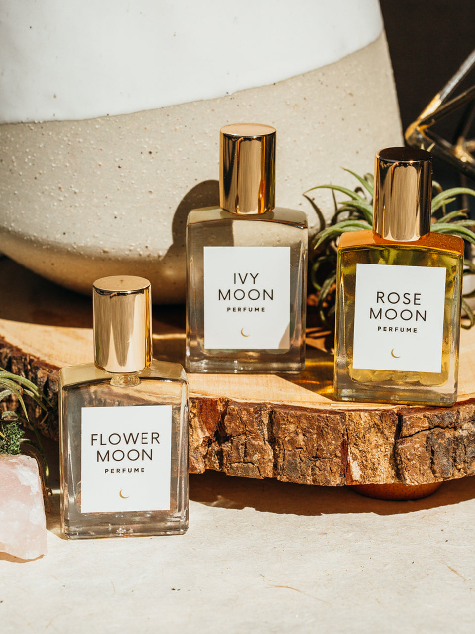 Olivine Atelier