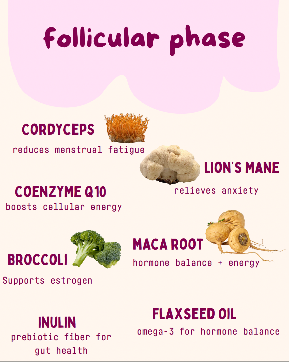 Follicular Phase Replacement Bags by Baker's Botanics