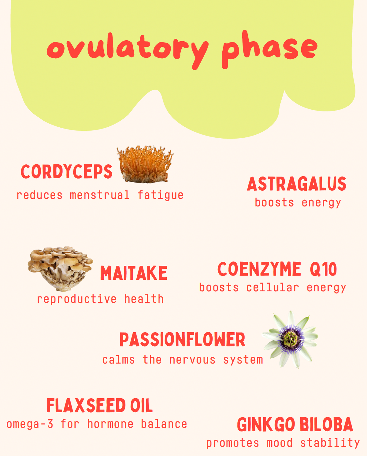 Ovulatory Phase Replacement Bags by Baker's Botanics