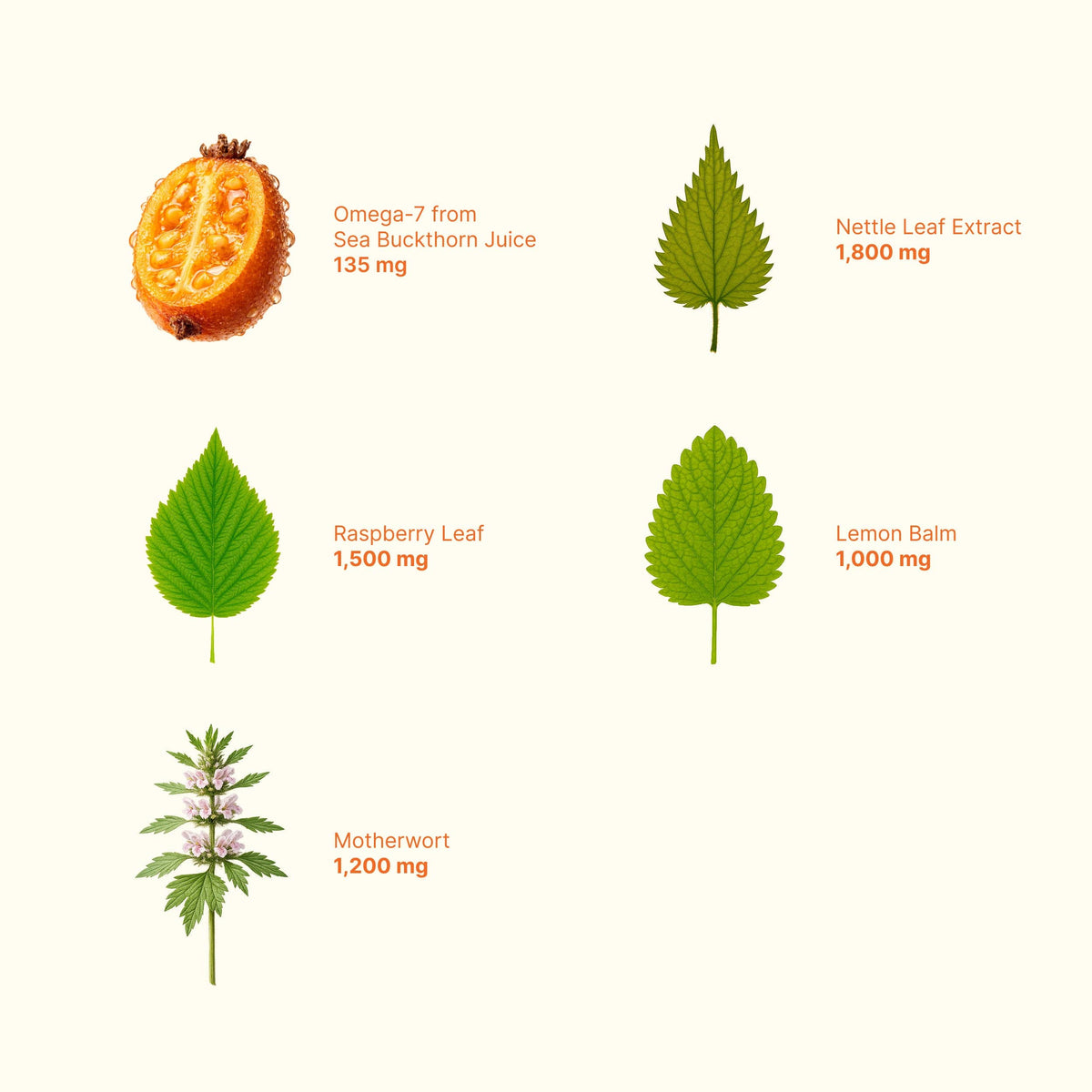 Period Comfort Botanical Tonic by The Cycle