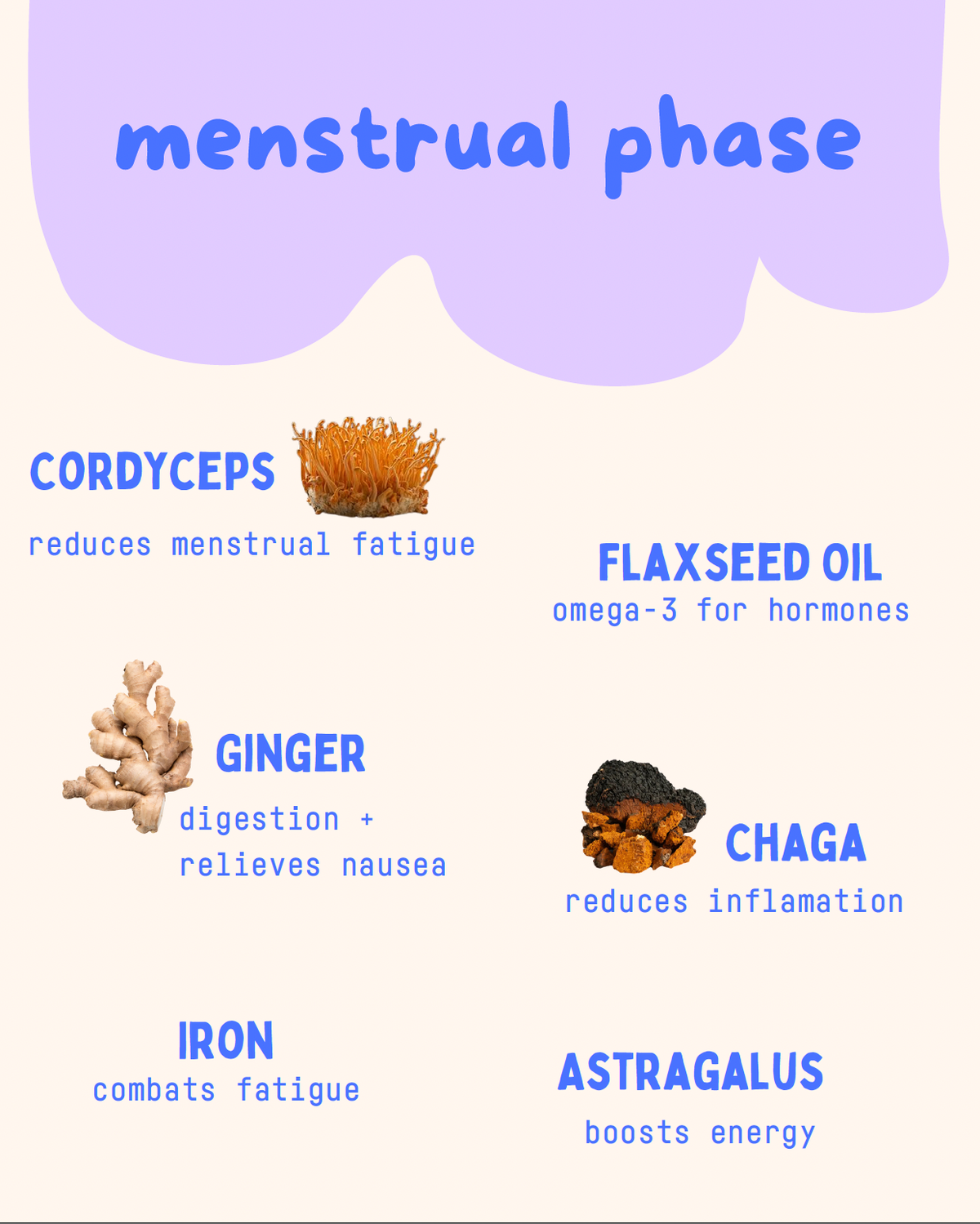 Menstrual Phase Replacement Bags by Baker's Botanics