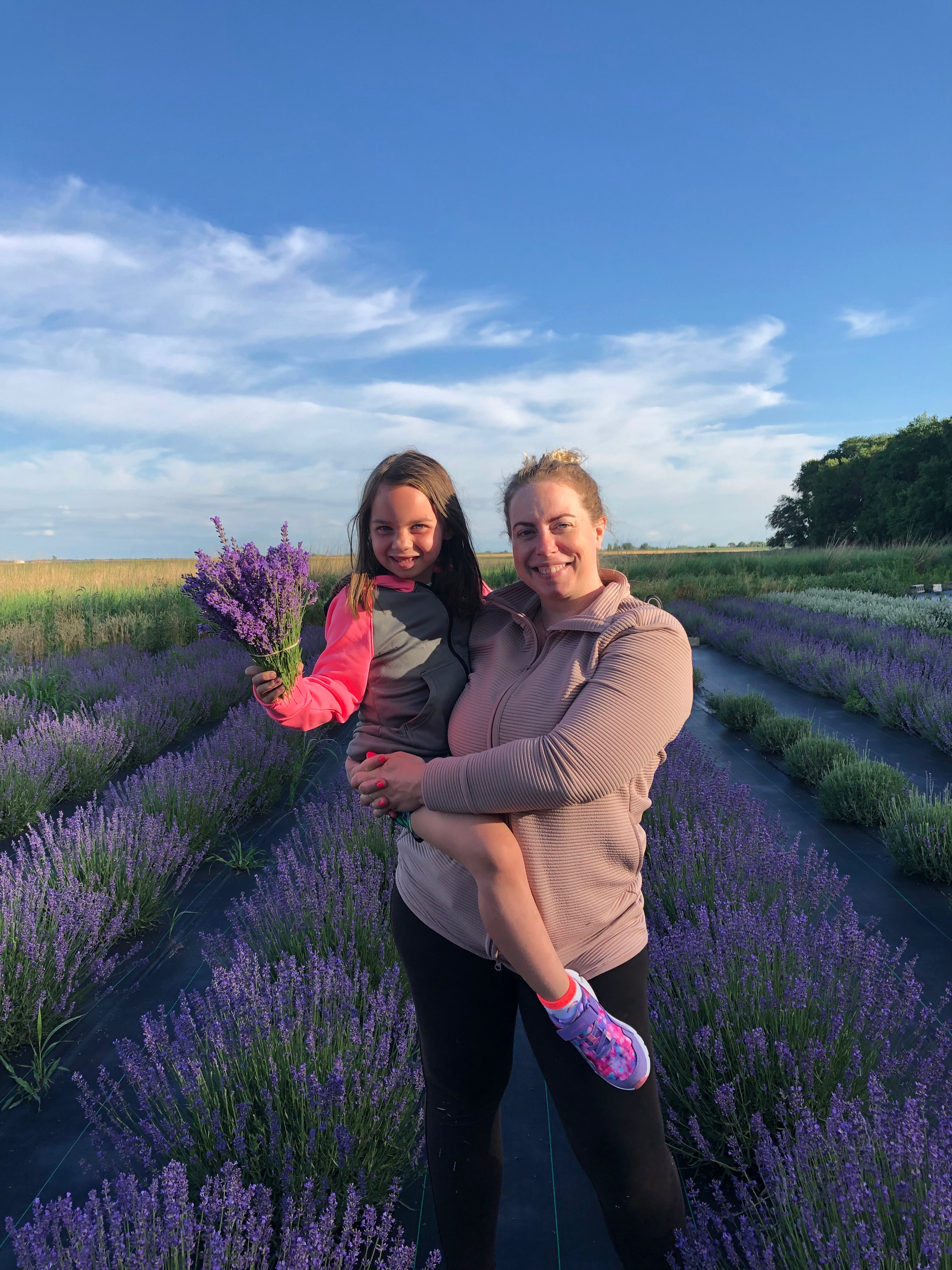 Gathering armfuls of lavender in bloom at a partner farm field