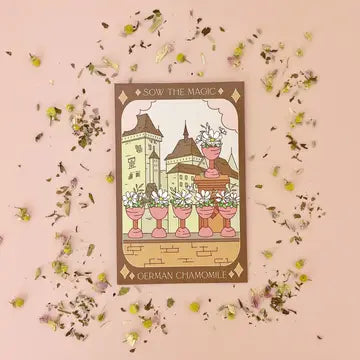 German Chamomile Tarot Seed Packet by Sow the Magic