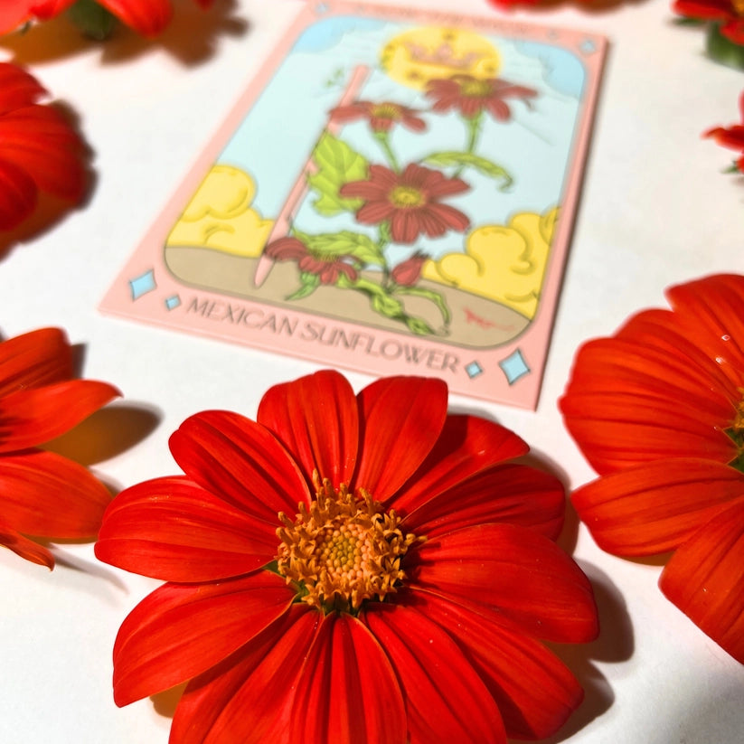 Mexican Sunflower Tarot Seed Packet by Sow the Magic