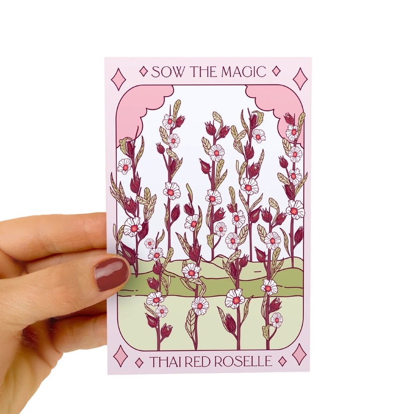 Thai Red Roselle Hibiscus Tarot Seed Packet by Sow the Magic