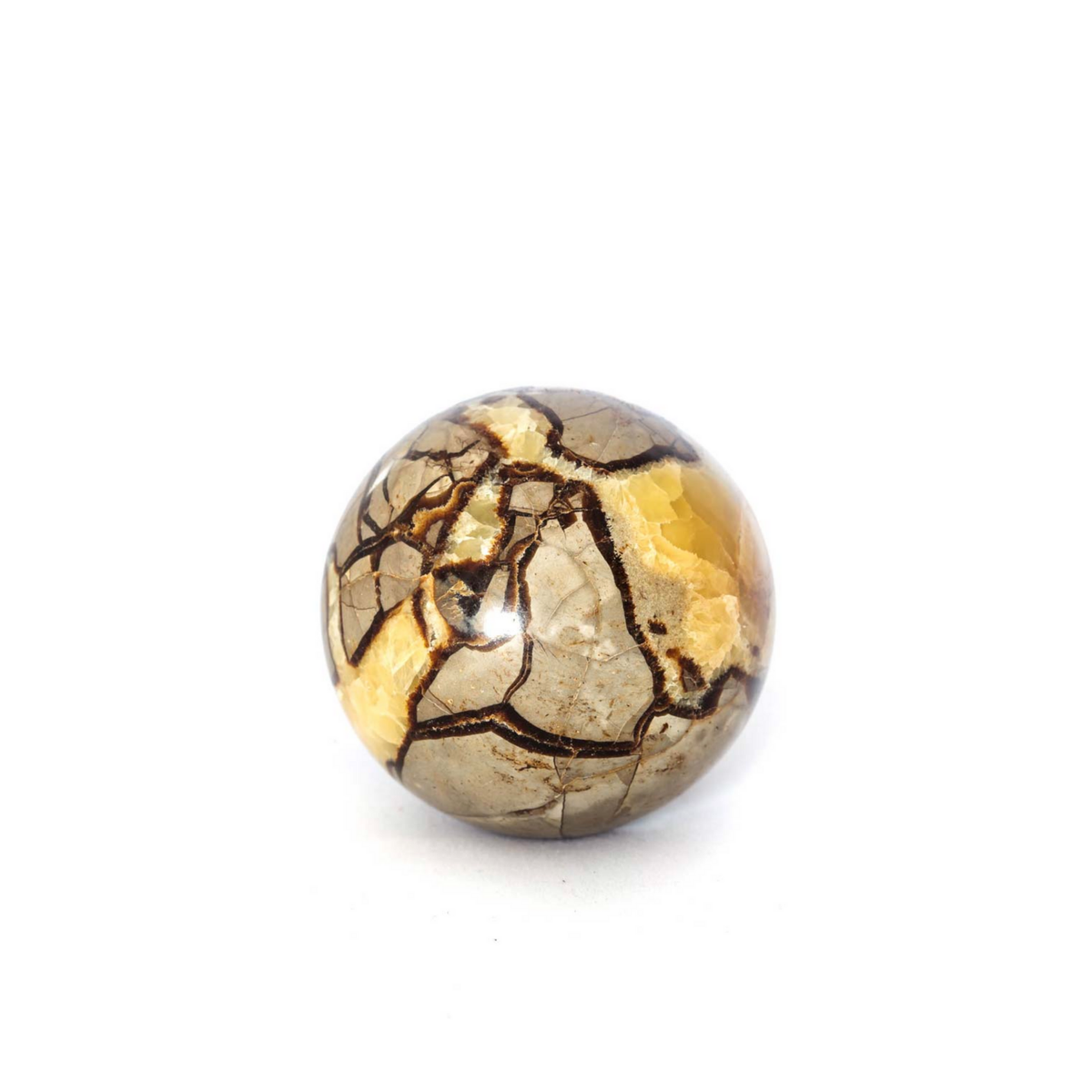 Septarian Dragon Sphere by Apothecary Co