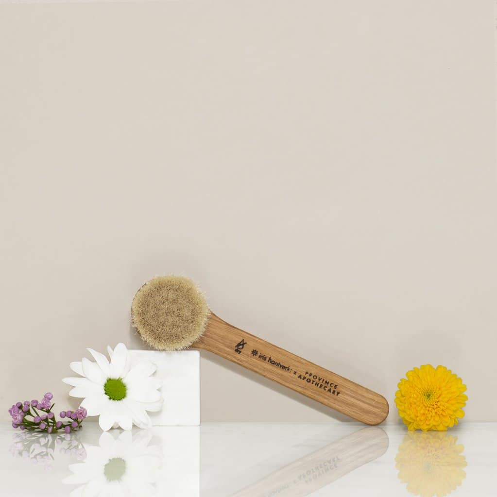 Daily Glow Facial Dry Brush, a Province Apothecary facial dry brush