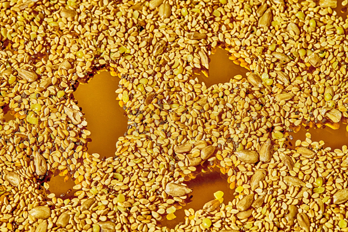 Sesame Sunflower Seed Cycle Blend by Phasey